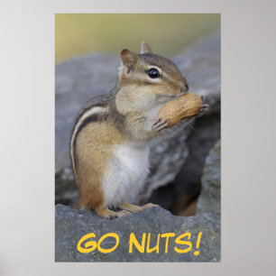 Går nöt! poster