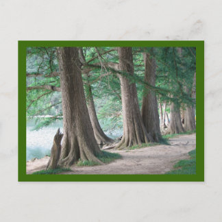 Gårdagens Träd, vykort