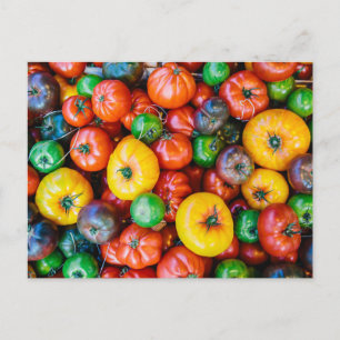 Gårdar Färgrik tomatskörd Vykort