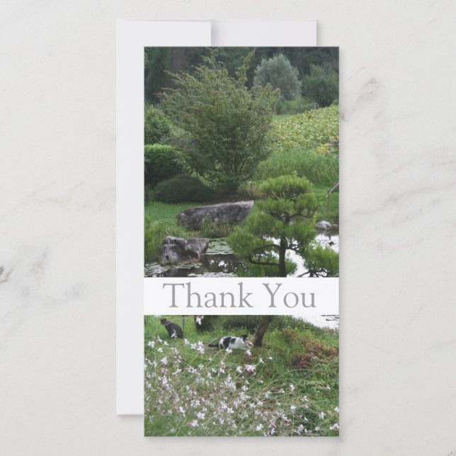 Garden 3 med Cats Tack Photo Cards 1 (Framsida)