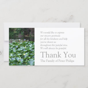 Garden 5 Lotus Sympathy Tack 2 Kort