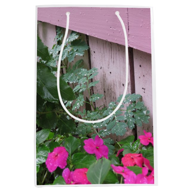 Garden After the Rain - Martha's Vineyard (Framsidan)