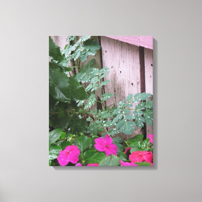 Garden After the Rain - Martha's Vineyard Canvastryck (Framsida)