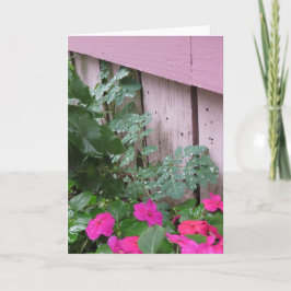 Garden After the Rain - Martha's Vineyard Kort