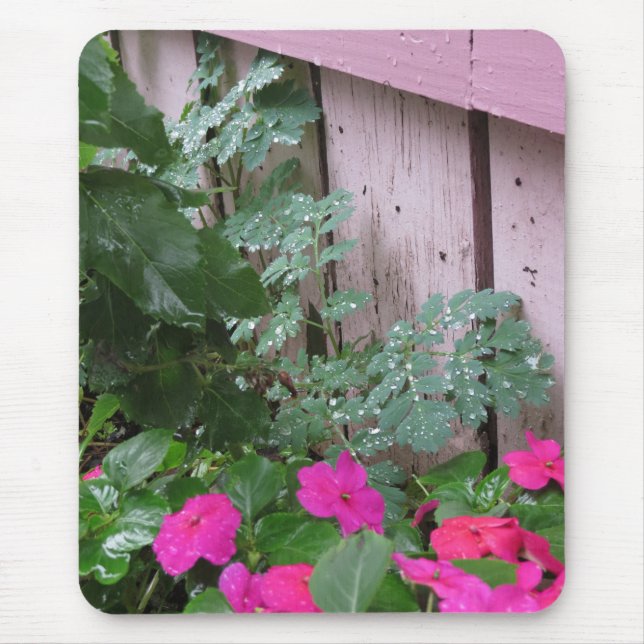 Garden After the Rain - Martha's Vineyard Musmatta (Framsidan)