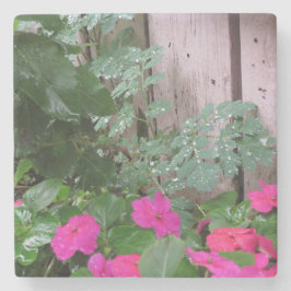 Garden After the Rain - Martha's Vineyard Stenunderlägg