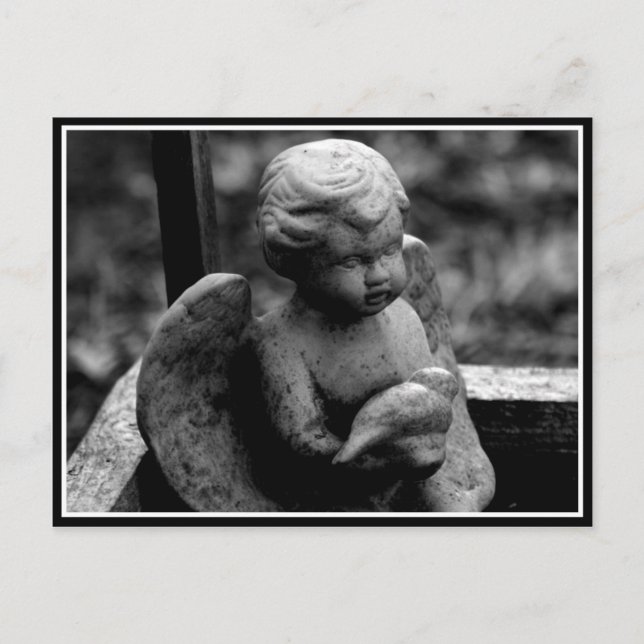 Garden Angel Vykort (Framsida)