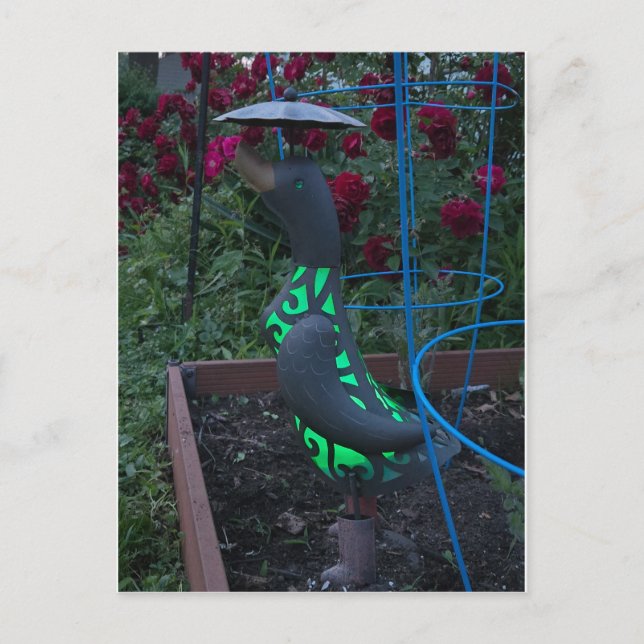 Garden Anka Vykort (Framsida)