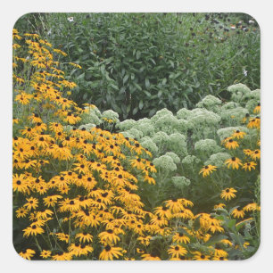Garden av Black-Eyed Susans Sticker Fyrkantigt Klistermärke