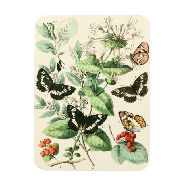 Garden av Butterflies and Flowers Magnet (Vertikal)