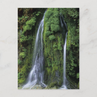 Garden av Eden Postcard Vykort