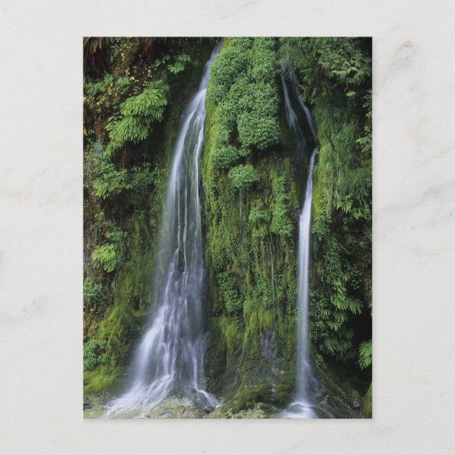 Garden av Eden Postcard Vykort (Framsida)