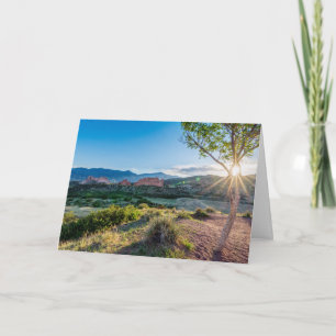 Garden av GODS Träd Sunburst Greeting Card Kort