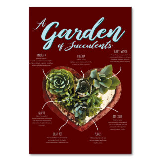 Garden av suckulat bordsnummer