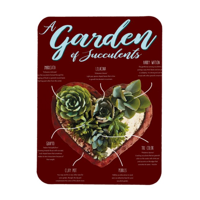Garden av suckulat magnet (Vertikal)