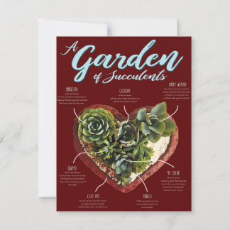 Garden av suckulat tack kort
