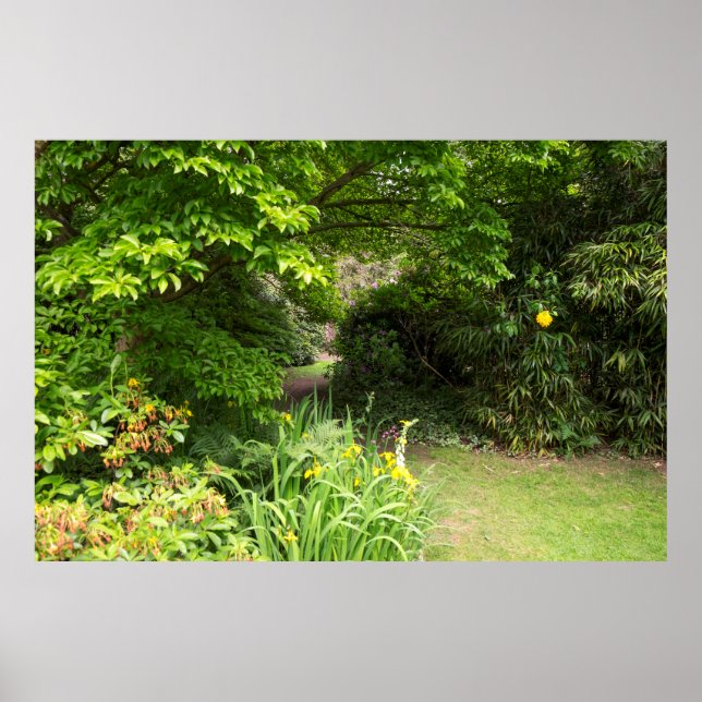 Garden Background Poster (Framsidan)