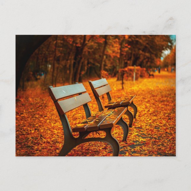 Garden Benches på hösten Vykort (Framsida)