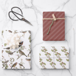 Garden Birds i Grenar och samordning