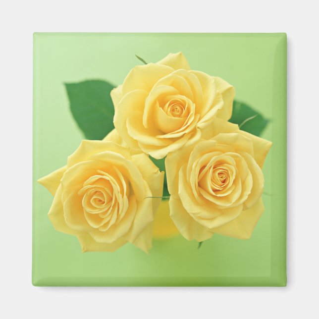 Garden Bounty 3 Magnet (Framsidan)