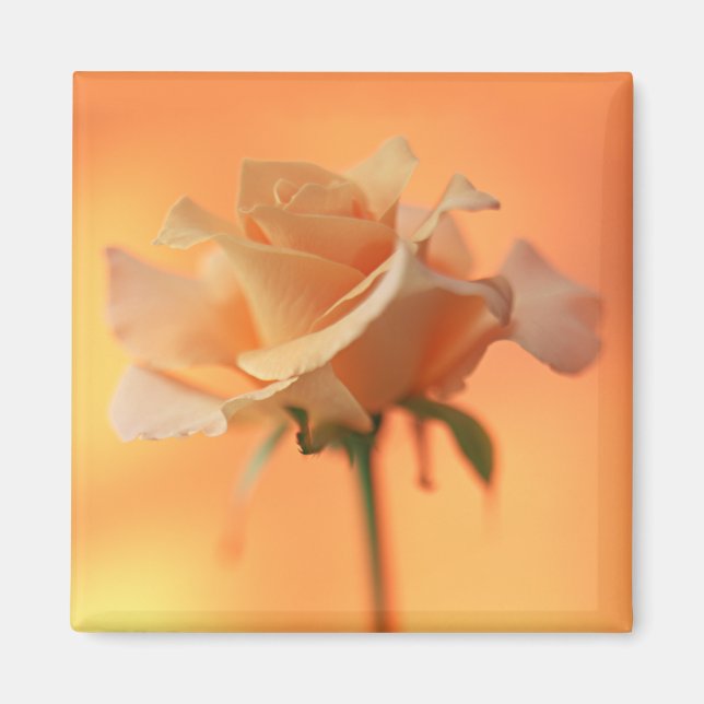 Garden Bounty 5 Magnet (Framsidan)
