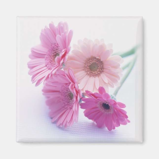 Garden Bounty 8 Magnet (Framsidan)