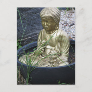 Garden Buddha Vykort