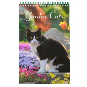Garden Cats - små storleka Kalender