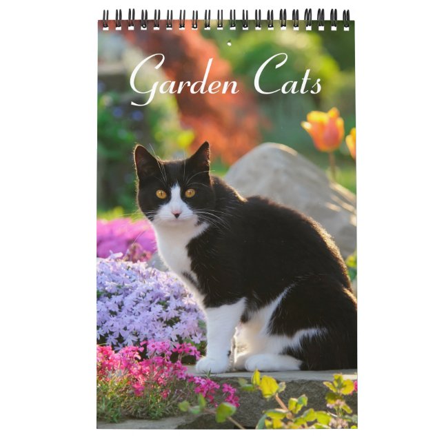 Garden Cats - små storleka Kalender (Omslag)