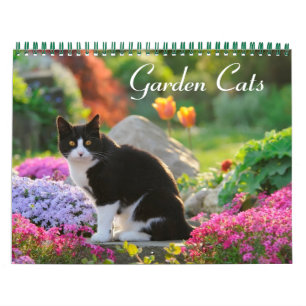 Garden Cats - storlekt medium Kalender
