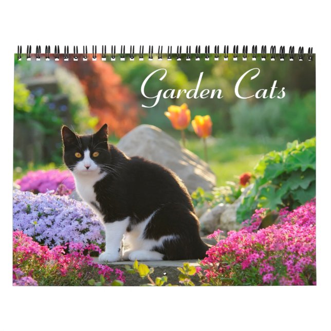 Garden Cats - storlekt medium Kalender (Omslag)