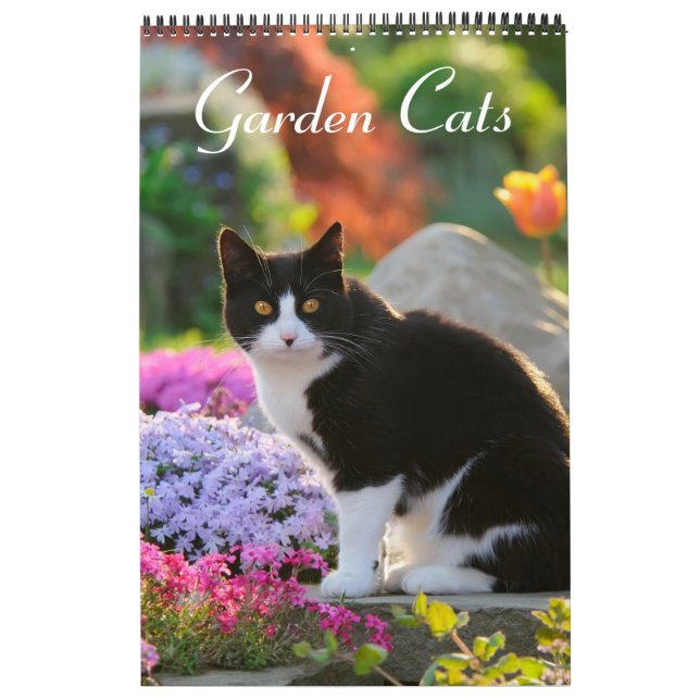Garden Cats - storlekt medium Kalender (Omslag)