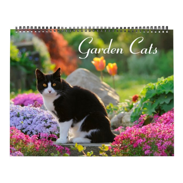 Garden Cats - storlekt stort Kalender (Omslag)