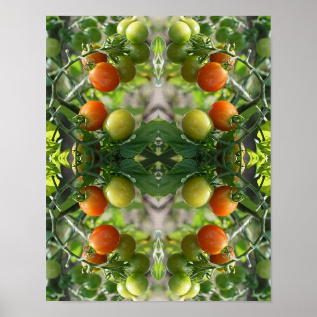 Garden Cherry Tomates Abstrakt Nature Art Art Poster (Framsidan)