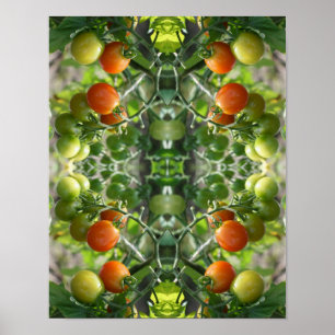 Garden Cherry Tomates Abstrakt Nature Poster