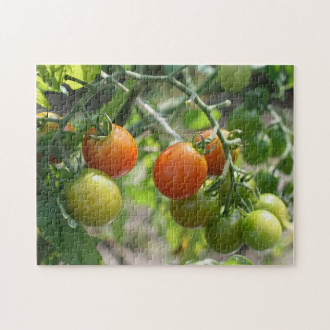 Garden Cherry Tomatis Nature Pussel (Horisontell)