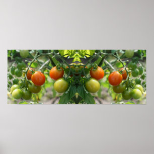 Garden Cherry Tomatis Spegel Abstrakt Poster