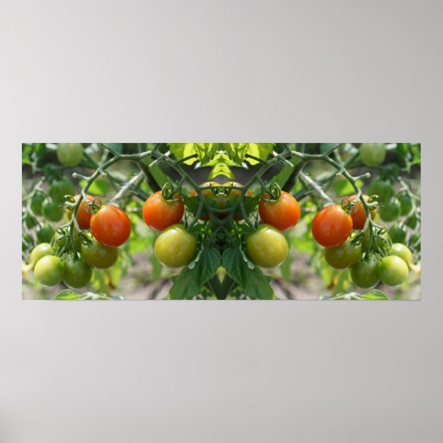 Garden Cherry Tomatis Spegel Abstrakt Poster (Framsidan)