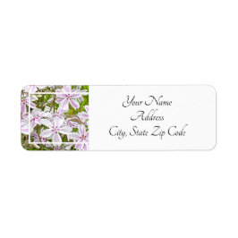 Garden Delight Returadress Etikett