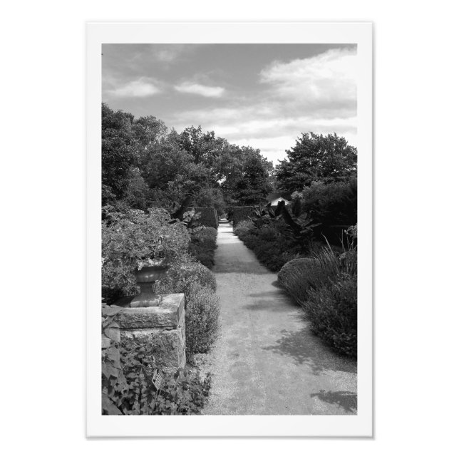 Garden Dream Fototryck (Framsidan)