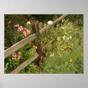 Garden Fence-utskrift Poster