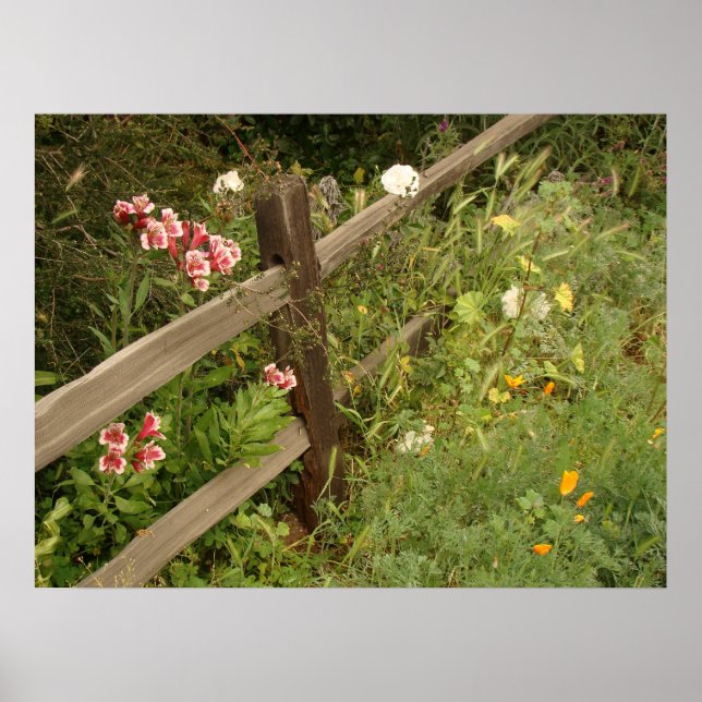 Garden Fence-utskrift Poster (Framsidan)