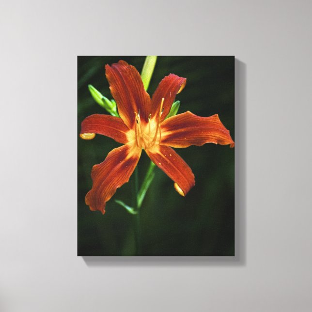Garden Flame Wrapped Canvas (Framsida)