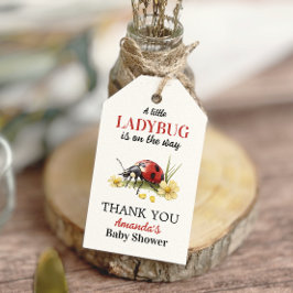 Garden Floral Daisy Little Ladybug Baby Shower Presentetikett