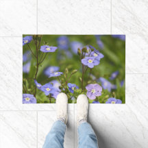 Garden Flower Blooms