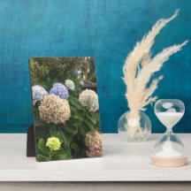 Garden Flowers