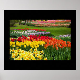 Garden Flowers Poster