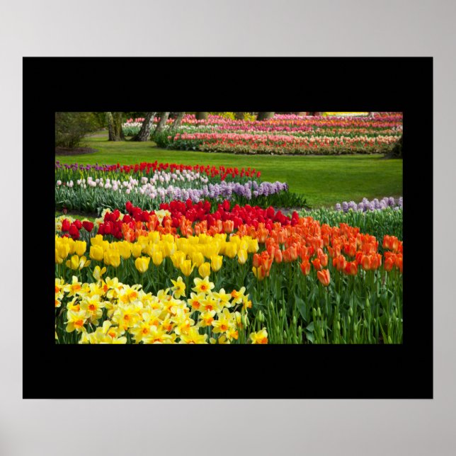 Garden Flowers Poster (Framsidan)