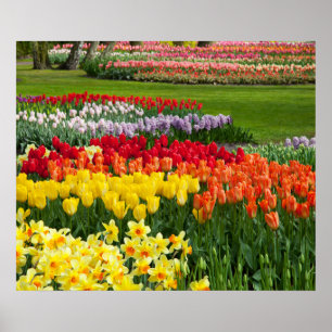 Garden Flowers Poster