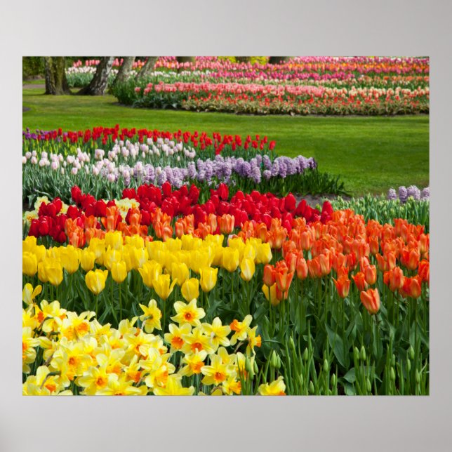 Garden Flowers Poster (Framsidan)